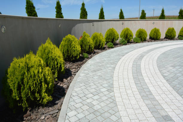 Best Decorative Driveway Pavers  in Charter Oak, CA